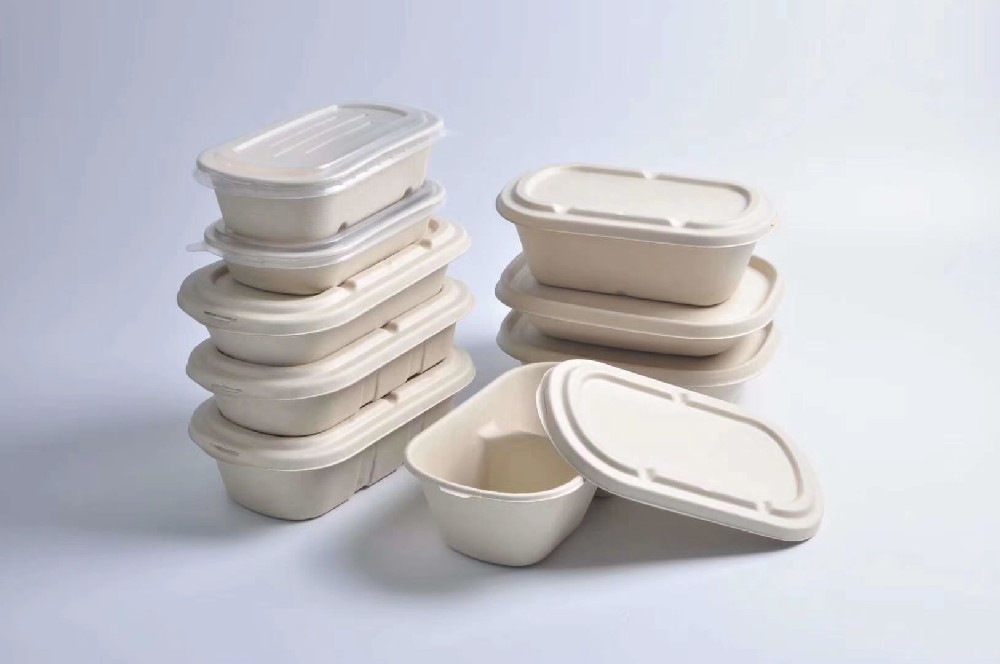 bagasse series